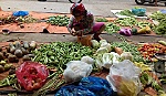 Mối nguy hại từ túi ni-lông