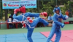 Thi thăng cấp sơ đẳng Vovinam cho 146 võ sinh