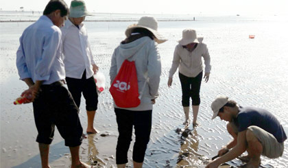 Cán bộ ngành Nông nghiệp cùng với địa phương đang khảo sát, lấy mẫu nghêu ở xã Tân Thành, huyện Gò Công Đông.