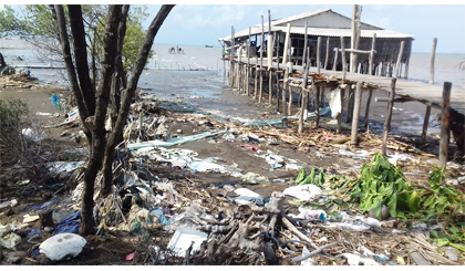 Rác thải tràn ngập bãi biển.