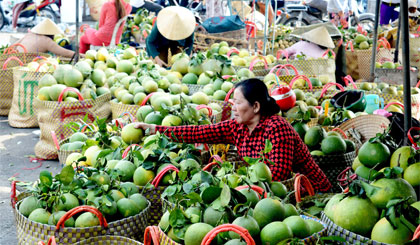 Dù lo lắng nhưng người tiêu dùng vẫn phải mua những nông sản không rõ nguồn gốc. 