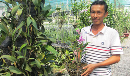 Thái Châu và chậu lan đột biến gen trị giá 25 triệu đồng.