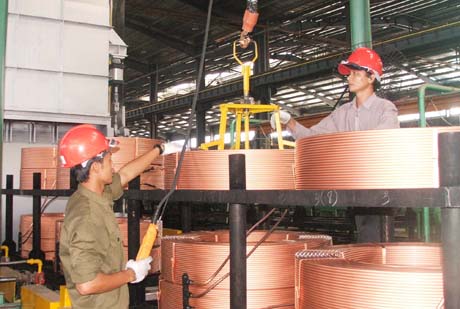 Doanh nghiệp có vốn đầu tư nước ngoài tiếp tục chiếm tỷ trọng cao trong cơ cấu kim ngạch XK.