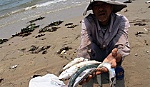 Điều rút ra từ 
