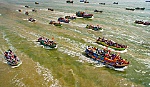 Tác phẩm 