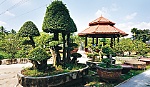 Hội viên Hội Sinh vật cảnh mua bán  4,22 tỷ đồng hoa kiểng