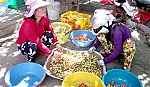 Chuyển đổi hợp tác xã: 