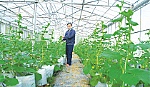 Trung tâm KT&CNSH Tiền Giang: Đưa công nghệ vào sản xuất nông nghiệp