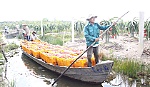 Giải ngân trên 2.500 tỷ đồng cho 160.000 lượt nông dân vay