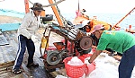 Ra khơi giữa mùa mưa bão: 