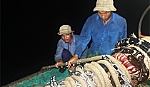 Nghĩa tình giữa biển khơi