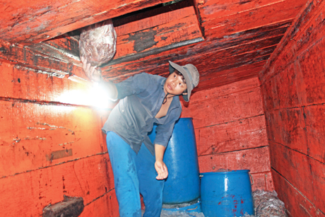 Hải sản được cho vào túi ni-lông và mang xuống hầm ướp nước đá.