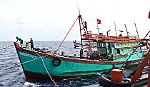 Quyết tâm bám biển