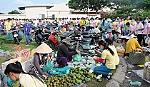 Những vấn đề đặt ra khi phát triển các khu công nghiệp