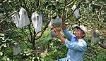 Nông dân và chuyện thích ứng hội nhập