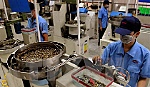 Thúc đẩy quan hệ hợp tác Việt Nam và Trung Đông-châu Phi