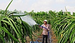 Hội CCB xã Phú Kiết: Điển hình giúp nhau giảm nghèo làm kinh tế giỏi