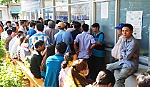 Nhiều người đi đổi giấy phép lái xe vì tin đồn