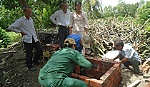 Châu Thành: Tiếp tục nhân rộng những nhân tố điển hình, thiết thực