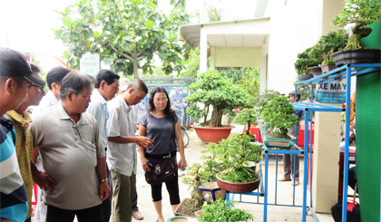 Đông đảo người dân đến tham quan kiểng bonsai.