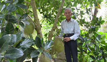 Với mô hình “Khu vườn tình thương”, ông Nguyễn Văn Lình là cá nhân tiêu biểu của xã Thanh Hòa trong việc học tập và làm theo tấm gương đạo đức Hồ Chí Minh.