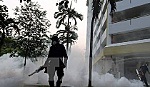 Virus Zika đã xuất hiện tại 73 nước và vùng lãnh thổ trên thế giới