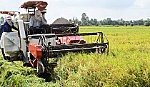 Huyện Cai Lậy: Sơ kết sản xuất Cánh đồng lớn năm 2016