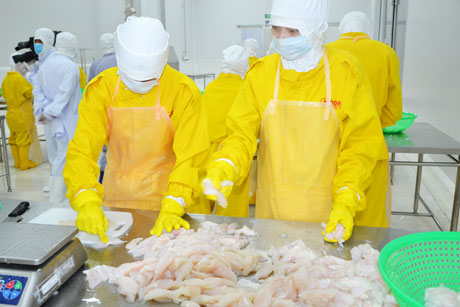 Xuất khẩu thủy sản dần hồi phục (Ảnh: Dây chuyền sản xuất sản phẩm cá tẩm bột của Công ty TNHH MTV Gò Đàng An Hiệp).