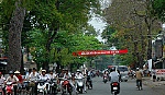 Để cây xanh thành 
