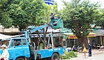 Vì đâu cây xanh bị đốn hạ?