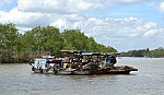 Mưu sinh trên sông Tiền