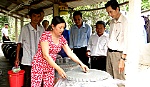 Tăng cường phòng, chống dịch bệnh do virus Zika