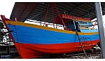 Chủ tàu cá công suất trên 800 Cv được hỗ trợ sau đầu tư