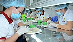 Góp phần đưa tổ yến Gò Công đến với người tiêu dùng