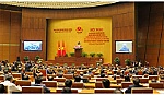 Bài 2: 