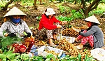 Bài 2: Trồng cây theo… phong trào