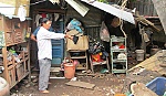 Đất 