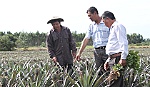 Khóm Tân Phước cây 