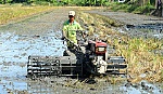 Thời vụ kéo dài, cuối vụ thêm căng thẳng