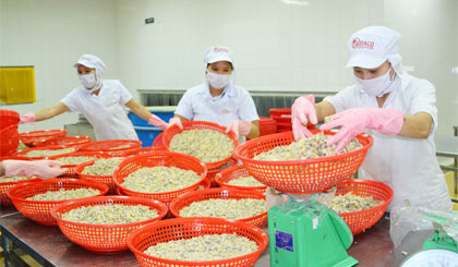 Doanh nghiệp cũng phải chuẩn bị tinh thần để đối mặt với những khó khăn.       