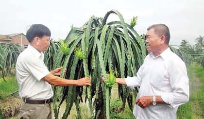 CCB Phạm Văn Tư đang trao đổi kinh nghiệm với Chủ tịch Hội Nông dân xã Nguyễn Công Ngân.  