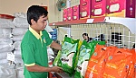 Hạt gạo tìm chỗ đứng trên sân nhà