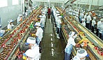 Doanh nghiệp nỗ lực thưởng tết cho người lao động