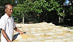 Mùa bánh tết vào cao điểm sản xuất