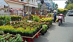 Tết đã đến rất gần