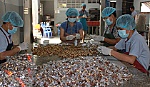 Mứt tết - vị ngọt tết quê hương