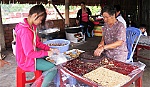 Nhộn nhịp mùa mứt khóm tết