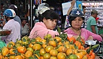 Sắc xuân giữa lòng phố cổ