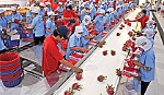 Tập trung lãnh, chỉ đạo quyết tâm hòan thành các chỉ tiêu năm 2017