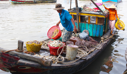 Do ảnh hưởng của sóng gió nên hoạt động đánh bắt của ngư dân diễn ra thất thường, sản lượng khai thác ít.